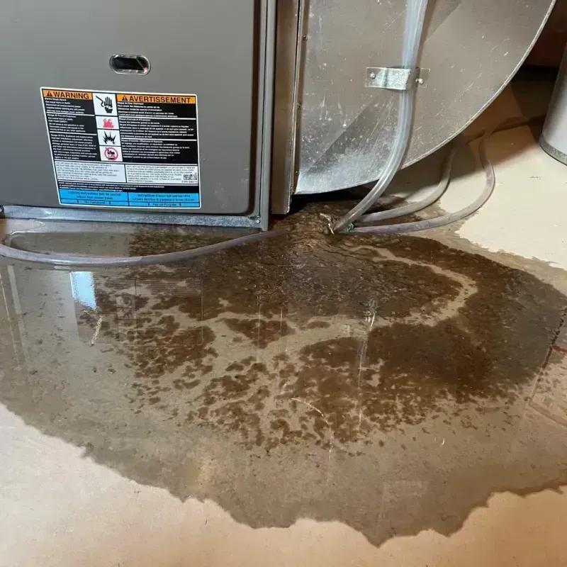 Appliance Leak Cleanup in Buellton, CA